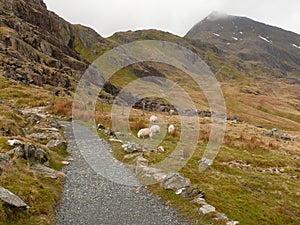 Trail on snowdon, snowdonia, Wales, UK