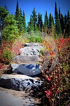 Trail stairs in fall colors, Mt. Rainier National Park