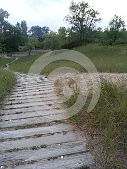 Trail at the State Park