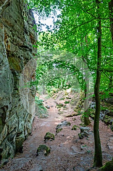 Trail between stones, tall trees and huge wall of rock formation