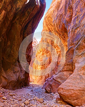 The trail between tall sandstone walls in Buckskin Gulch canyon, Paria Canyon-Vermilion Cliffs Wilderness, near the Utah-Arizona b