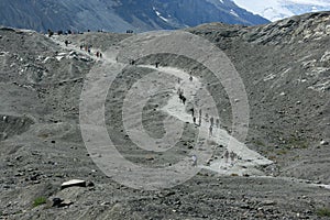 Trail to Athabasca Glacier