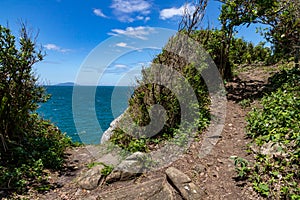 Trail to the beach in Quatro Ilhas beach