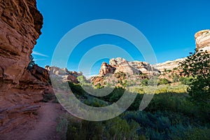 Trail to Calf Creek Falls