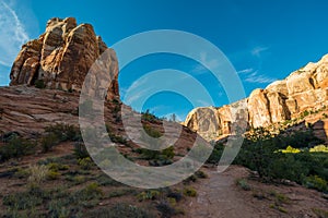 Trail to Calf Creek Falls