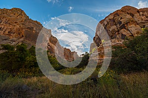 Trail to Calf Creek Falls