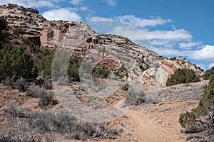 Trail to the canyon