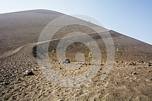 Trail to Cinder Cone at Lassen Volcanic National Park