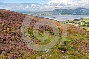 Trail to Knocknarea mountain with ocean in background