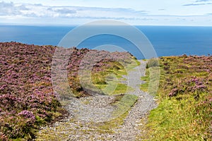 Trail to Knocknarea mountain with ocean in background