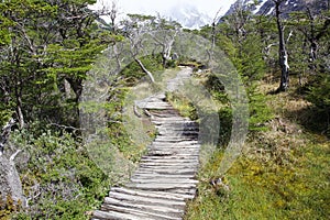 Trail to Cerro Torre at the Los Glaciares National Park, Argentina photo