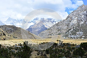 Trail to the 69 lake, in HuascarÃÂ¡n National Park, Peru photo