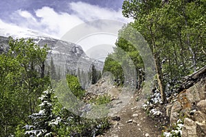 The Trail to The Loch Vale in Rocky Mountain National Park