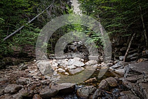 Trail to Lonesome Lake, White Mountains