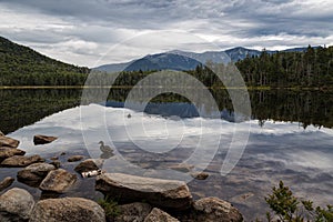 Trail to Lonesome Lake, White Mountains