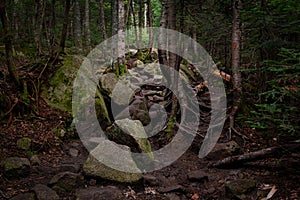 Trail to Lonesome Lake, White Mountains