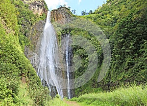 Trail to Manawaiopuna Falls