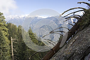 Trail to Moro Rock in Sequoia National Park photo