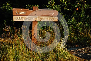 Trail to Mt Greylock Summit