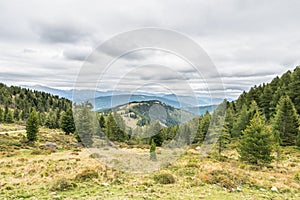 On the trail to Platsch cabin in Ramingstein, Lungau, Austria