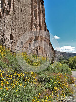 Trail to Ruins in Bandelier National Monument