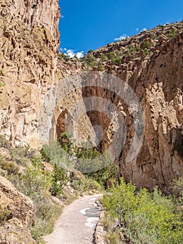 Trail to Ruins in Bandelier National Monument