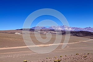 Trail to the Salar of Antofalla at the Puna de Atacama, Argentina