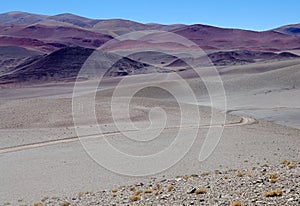 Trail to the Salar of Antofalla at the Puna de Atacama, Argentina