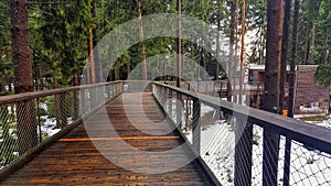 Trail Trees Lipno Lookout, Czechia