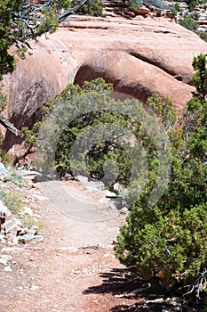Trail into Ute Canyon