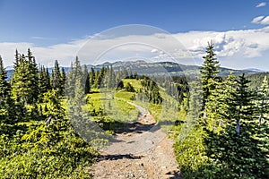 Trail view in Mountains