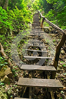 Trail for walking to learn the nature