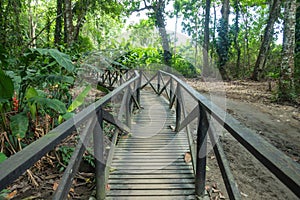 Trail on the way to Arrecifes in Tayrona National Natural park in Colombia