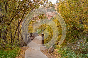 Trail into West Fork in Fall