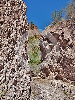 Trail Through Whitewater Canyon