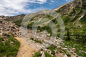 Trail Winds Around Corner in Lush Canyon in Grand Tetons