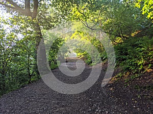 Trail Wrekin morning photo