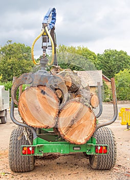 Trailer full of large logs