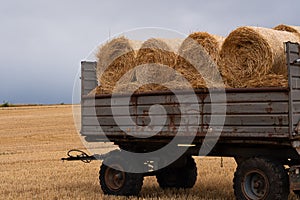 Trailer loaded with round bales of hay