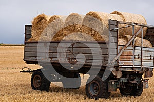 Trailer loaded with round bales of hay