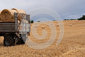 Trailer loaded with round bales of hay