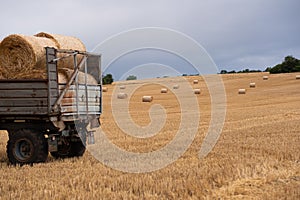 Trailer loaded with round bales of hay