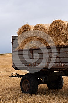 Trailer loaded with round bales of hay