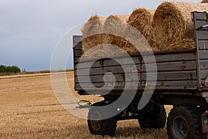 Trailer loaded with round bales of hay