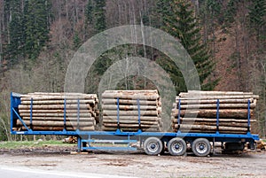 Trailer transporting trunks