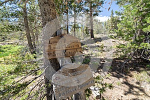 Trailhead signs giving directions to Lundy Pass, Lundy Lake and Steelehead Lake along 20 Lakes Basin trail in Mono County