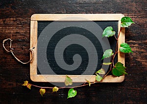 Trailing leaves on a blackboard