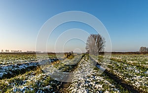 Trails in the frozen meadow