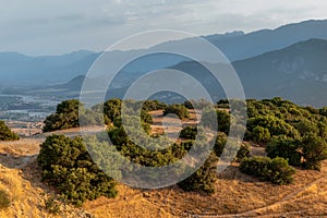 Trails in the hills and green trees in Greece aerial view