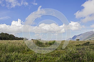 Through the trails of Itatiaia